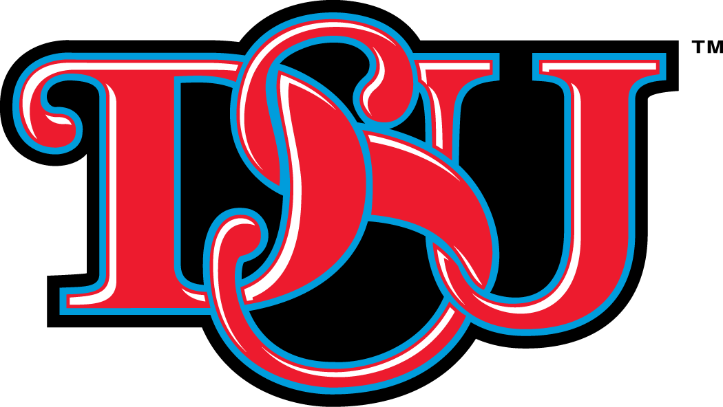 Delaware State Hornets 2004-Pres Alternate Logo v2 DIY iron on transfer (heat transfer)